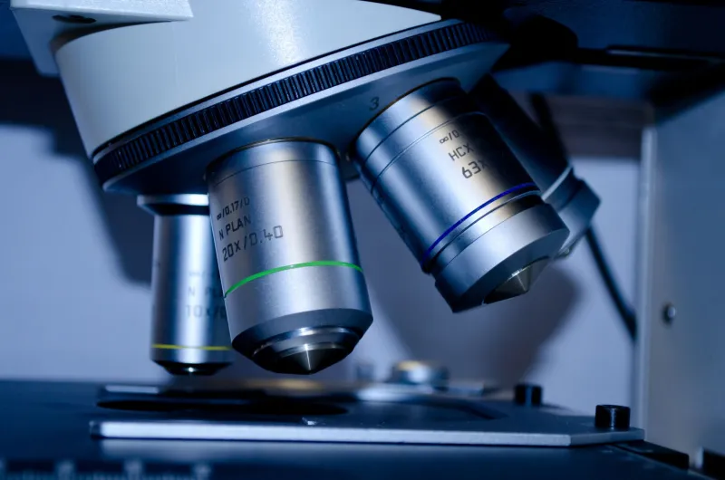 Reading the Invisible: A Manufacturing Engineer's Guide to Microstructure and Sintered Part Performance